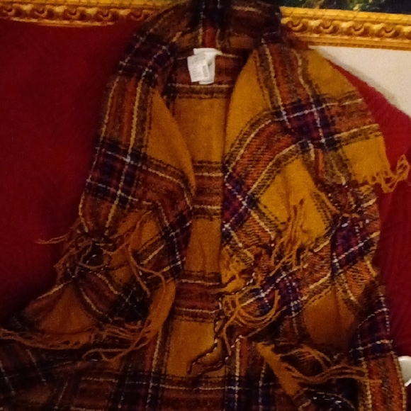 #3. Plaid Yellow and Blue Maunces Vest - Picture 6 of 6